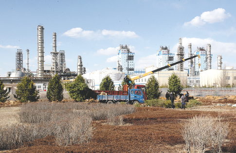 维多利亚游戏平台展示